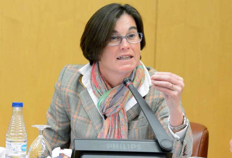 Susana Román fomento pleno asambleaweb