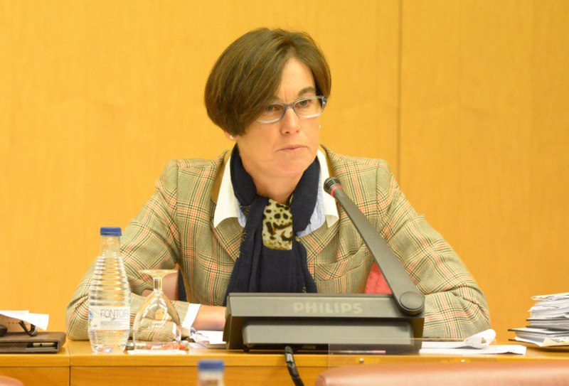 Susana Román Fomento Pleno Asamblea. Copy