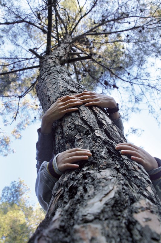 El medio ambiente es cosa de todos