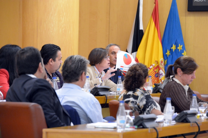 Román en el pleno